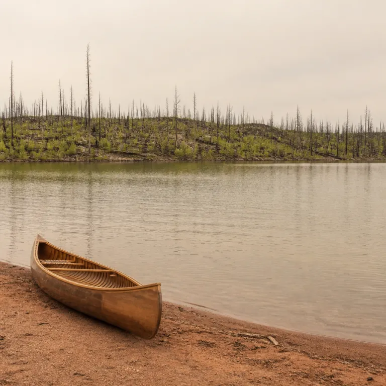 Boundary Waters reopens after the largest wildfire closure in a generation