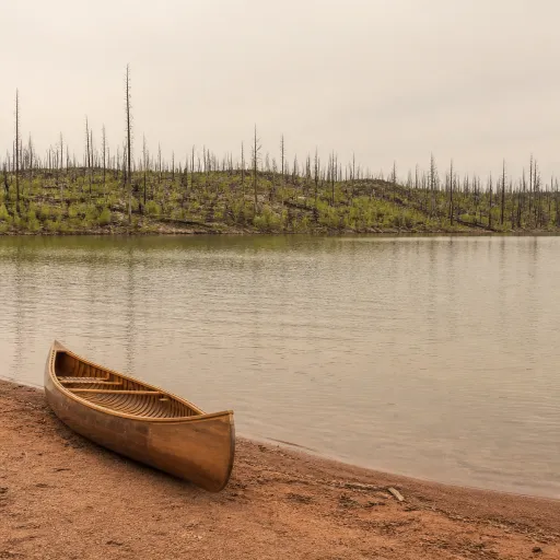 Boundary Waters reopens after the largest wildfire closure in a generation